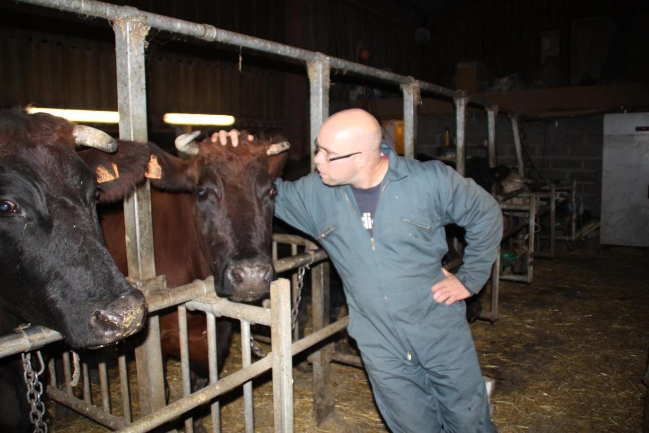 Le Chalet De La Ferme Du Tertre Villers-au-Tertre Eksteriør billede