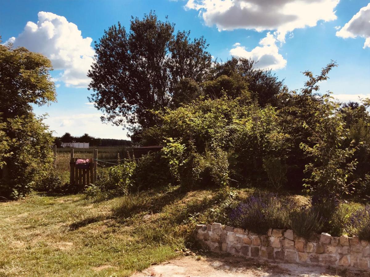 Le Chalet De La Ferme Du Tertre Villers-au-Tertre Værelse billede